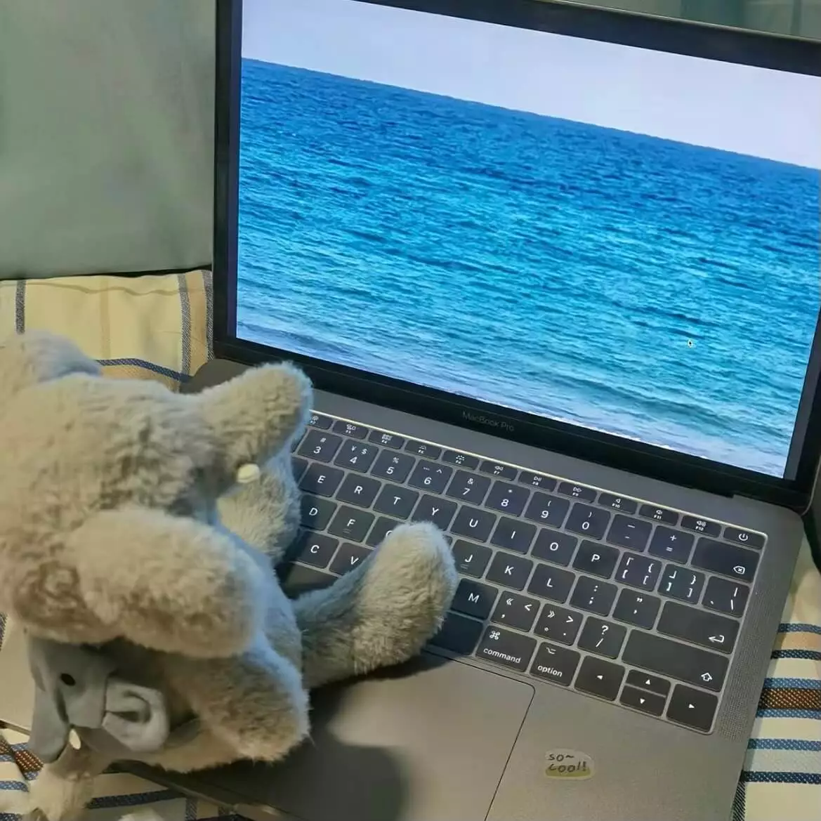 第一篇文章记：欢迎使用 Typecho